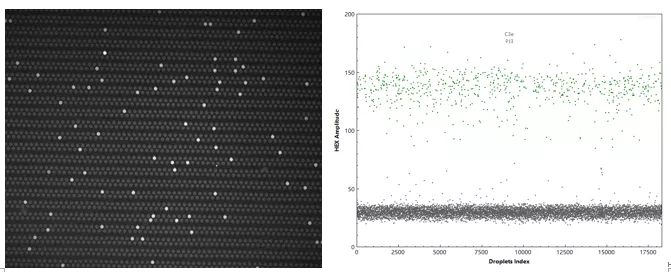 1655174736210304.jpg SgX2nd5N_LqGp.jpg