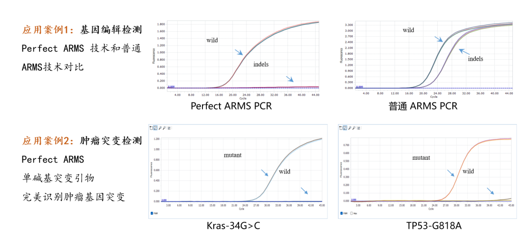 1678087994162170.png 640 (2).png