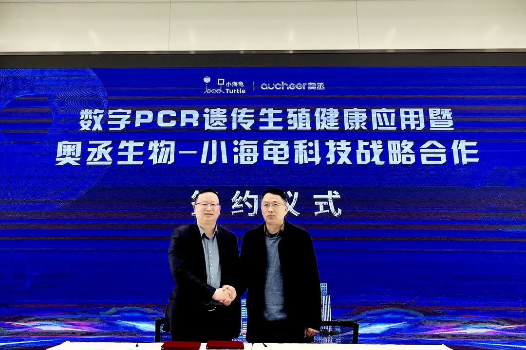 1678088906210755.jpg 640 (2).jpg