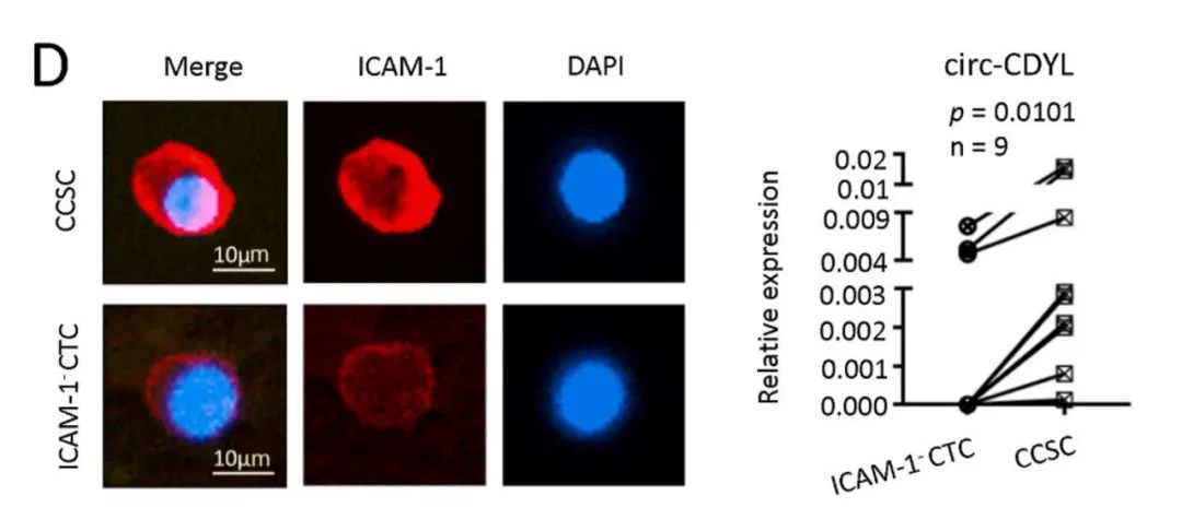 1702273618852767.jpg 640 (1).jpg