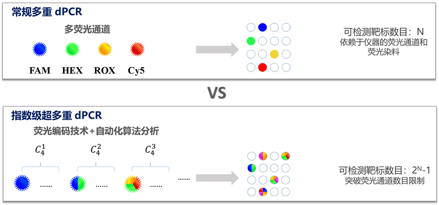 1705629897209102.png image.png