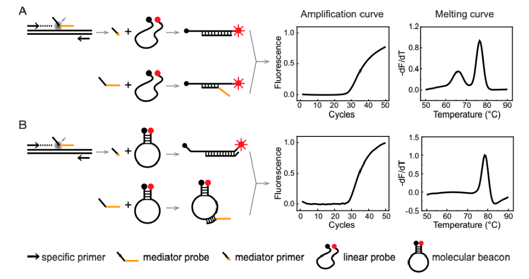 1710728521178471.png 微信图片_20240318101921.png