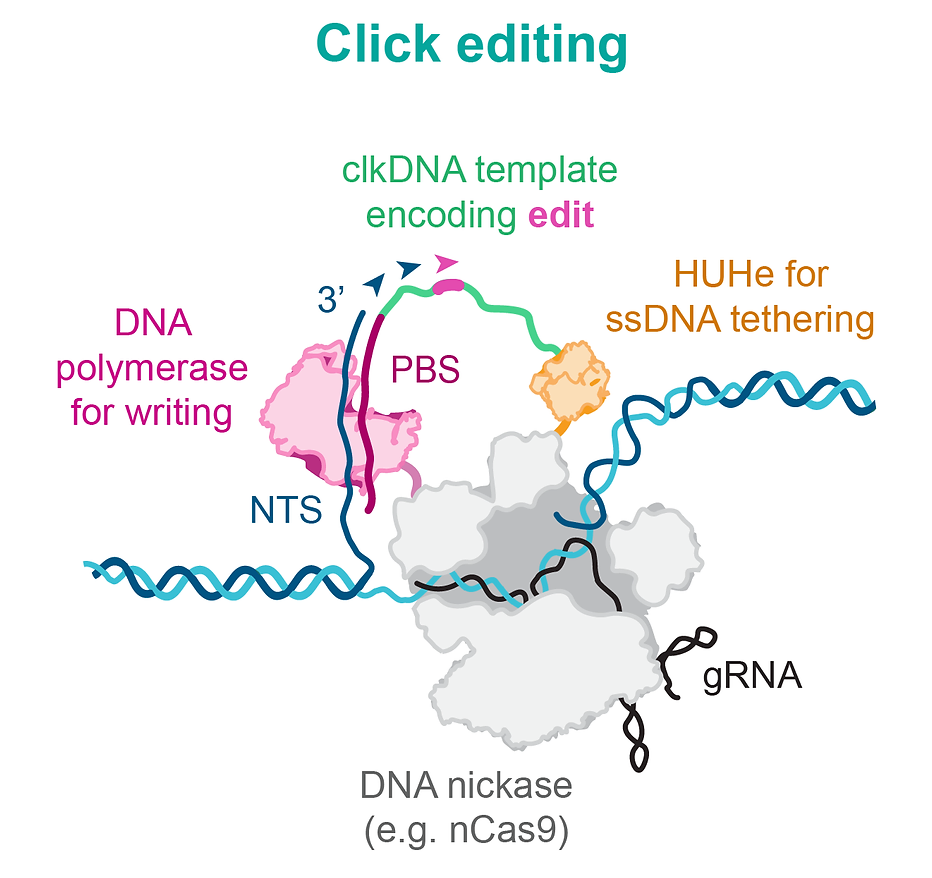 1726628503115454.png 微信图片_20240918104526.png